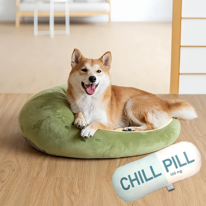 Chill Pill Pillow - Decorative Chill Pillows for Preppy Room Decor Home Decor - Funny Cushions, Seat Cushions, Footrests, Birthday Gifts for Teacher, Doctor, Nurse, Lawyer Student, Best Friend, Sister, Mother's Day Gifts, Easter Gifts