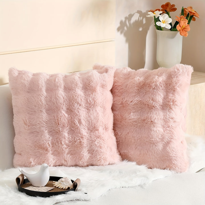 A Pair of Plush Pillow Covers, Each 17X17 Inches Thick, Designed to Be Soft Decorative Cushions for Sofas And Bedrooms.