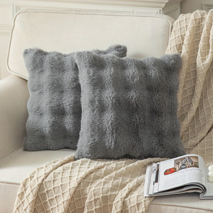 A Pair of Plush Pillow Covers, Each 17X17 Inches Thick, Designed to Be Soft Decorative Cushions for Sofas And Bedrooms.
