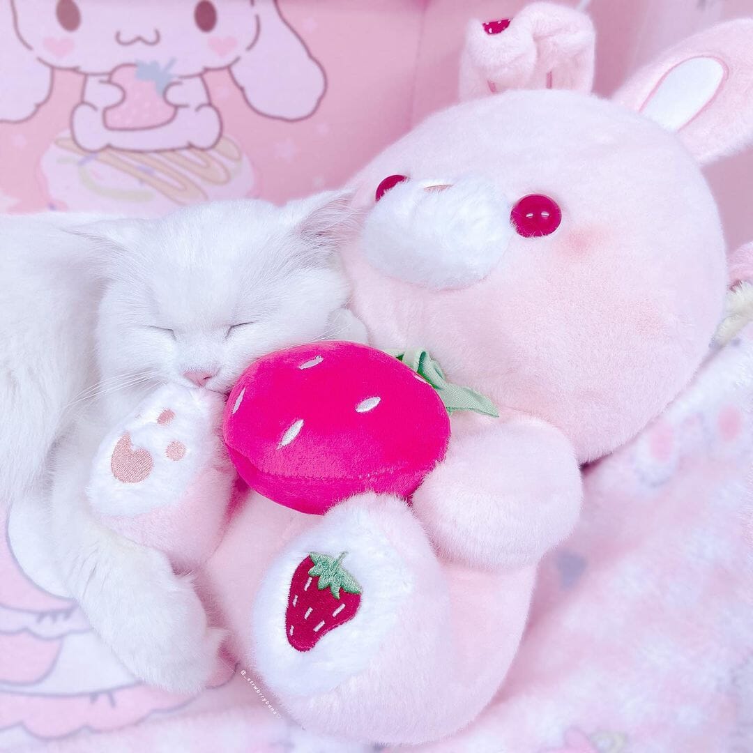 Valentine's Day Strawberry Love Bunny Plushies